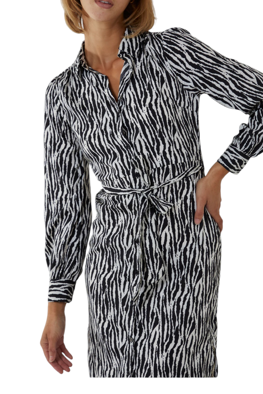 Zebra print midi shirt dress with tie waist belt